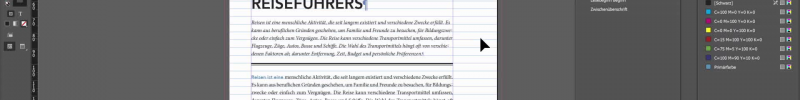Layout von Fachbüchern mit Adobe InDesign